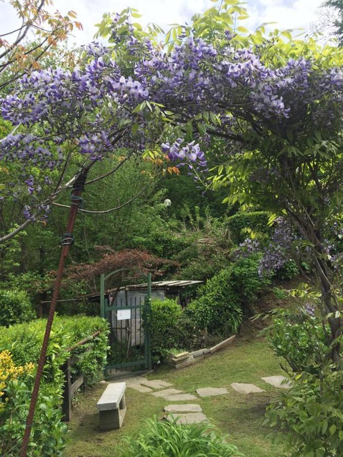 斯特雷萨Maison Al Nocino别墅 外观 照片