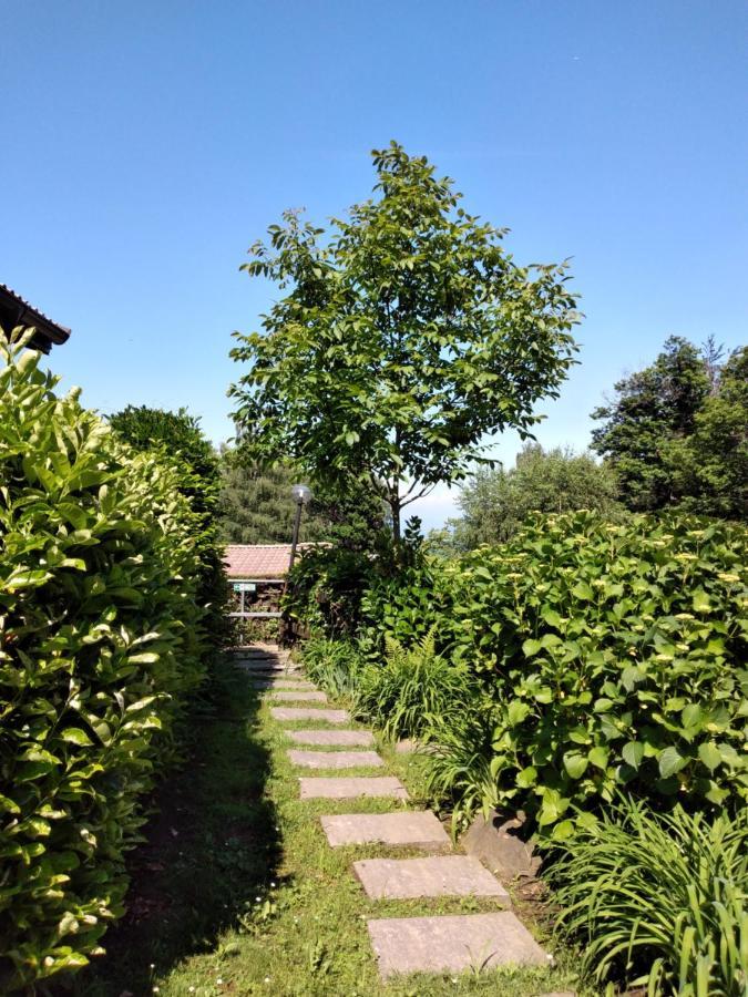 斯特雷萨Maison Al Nocino别墅 外观 照片