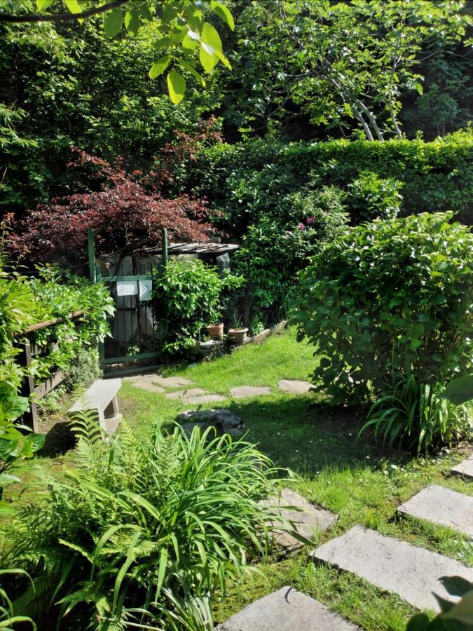 斯特雷萨Maison Al Nocino别墅 外观 照片